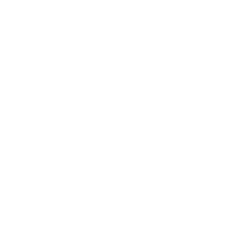 X (Twitter)